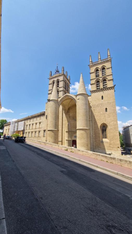 Le Petit Olivier En Coeur De Ville + Parking Incl. Монпелие Екстериор снимка